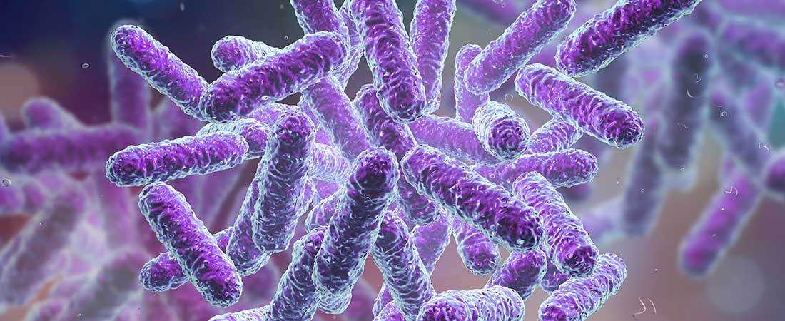 Photo: Microbiome