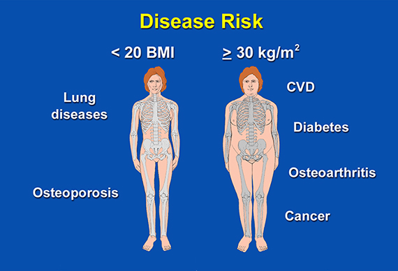 Photo: Weight related health risks figure.