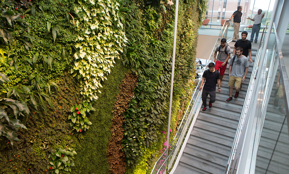 The living wall at IFNH