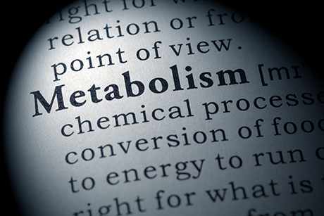 Photo: The word Metabolism printed on a sphere